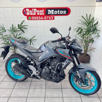 Yamaha Mt-03 2024 Storm Fluo